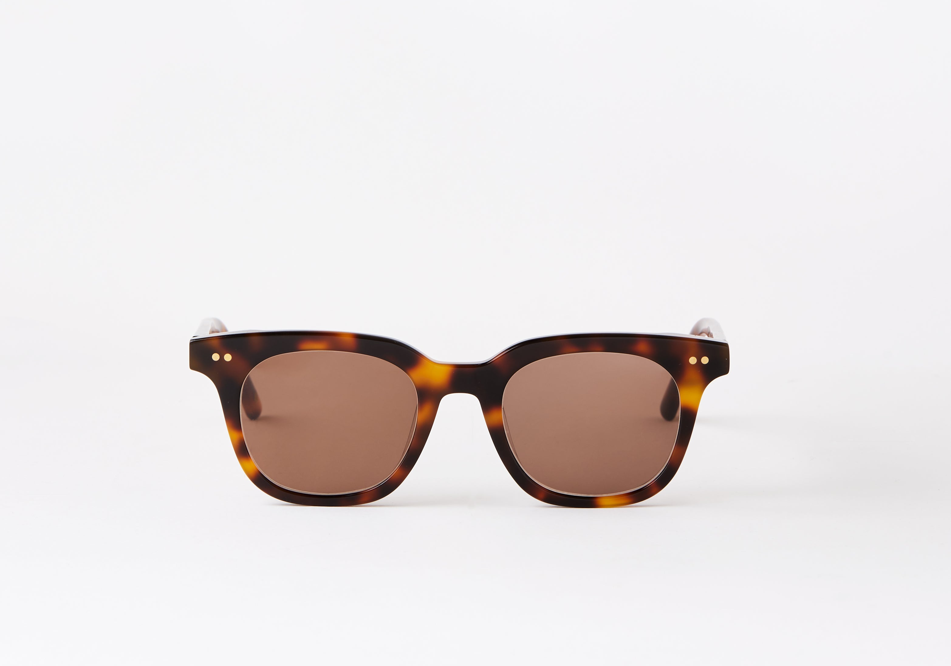 FONTAINE-TORTOISE-SUNGLASSES-LUNETTIQ-1.jpg